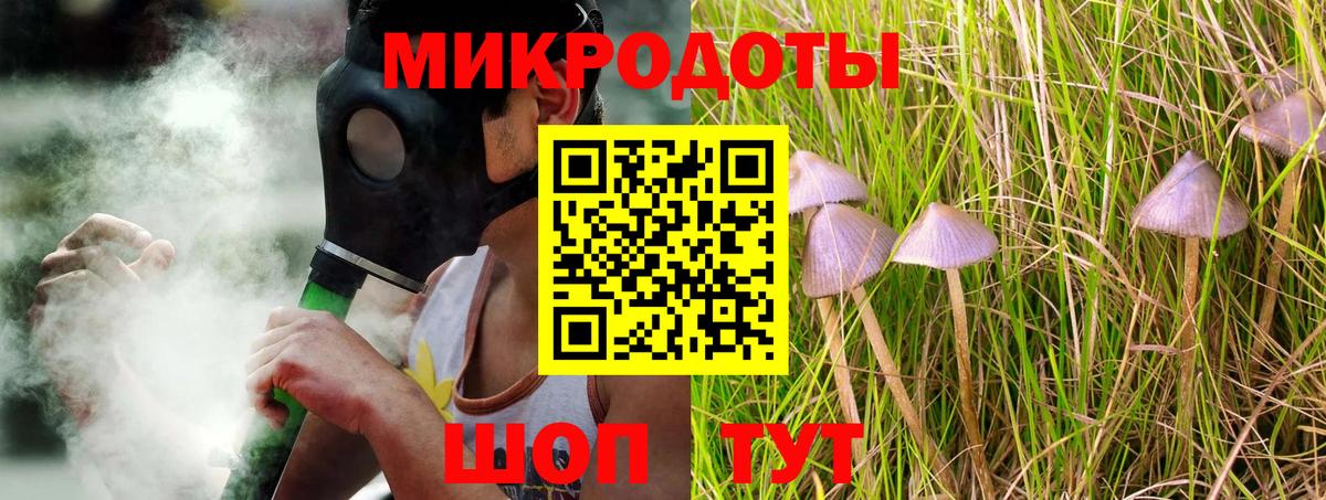 Кисловодск  даркнет сайт  Вход с VPN  Псилоцибиновые грибы мицелий  Псилоцибиновые грибы ЛСД 