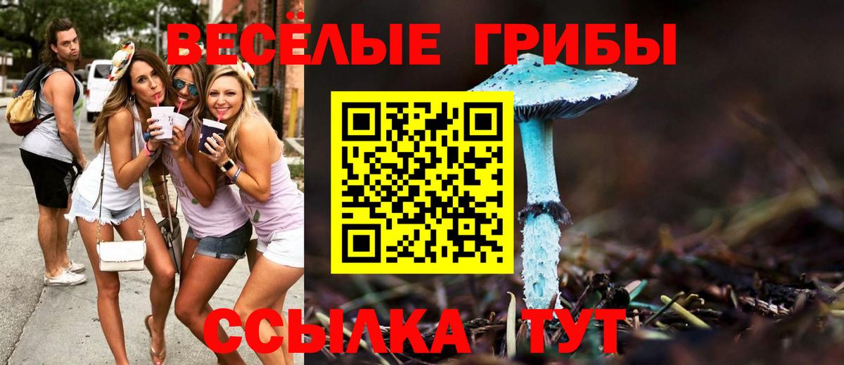 Галлюциногенные грибы Magic Shrooms Кисловодск